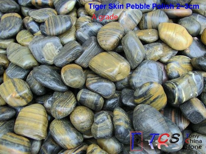 Polish Pebble -Tiger Skin