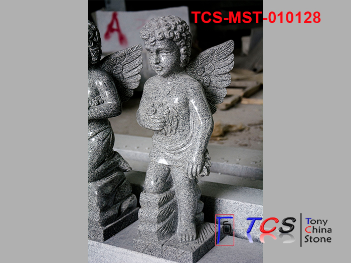 TCS-MST-01