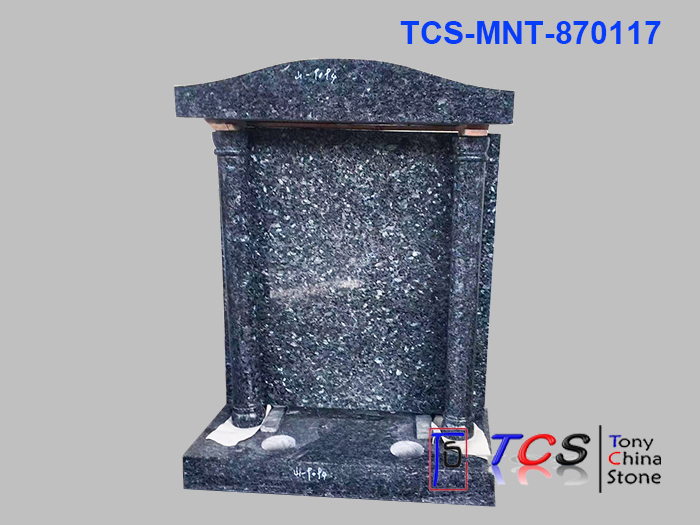 TCS-MNT-87