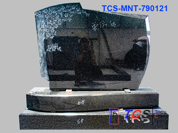 TCS-MNT-79