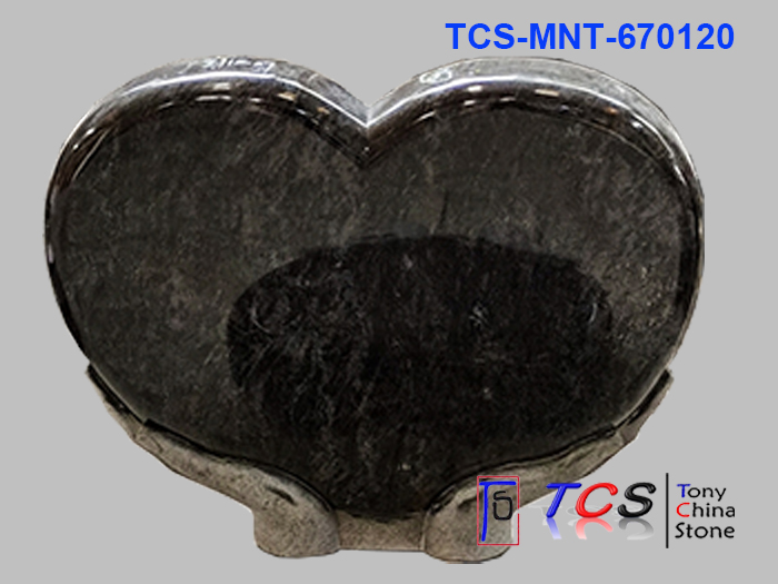 TCS-MNT-67