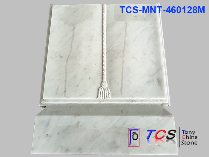 TCS-MNT-46