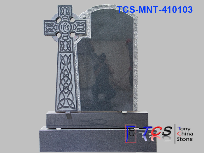 TCS-MNT-41