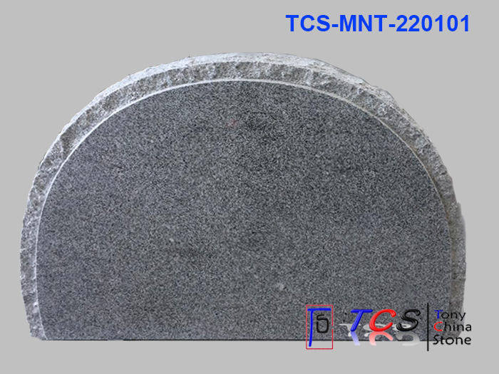 TCS-MNT-22