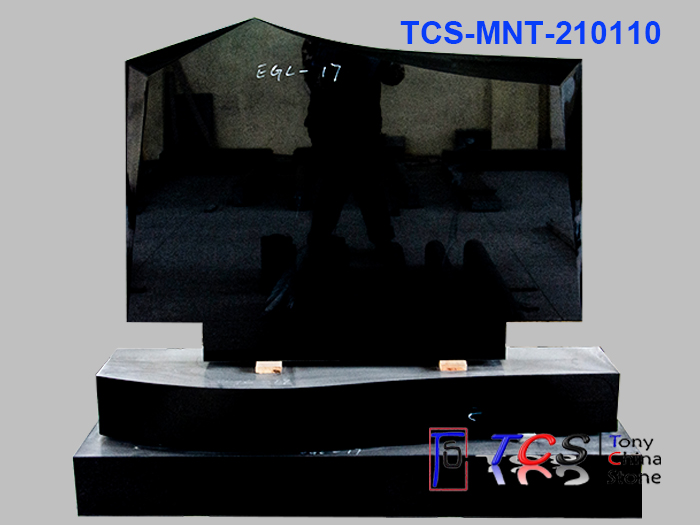 TCS-MNT-21