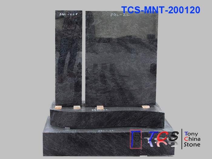 TCS-MNT-20