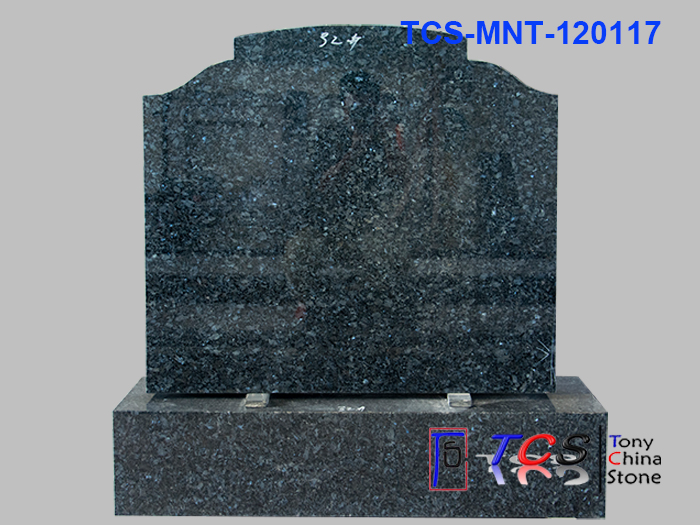 TCS-MNT-12