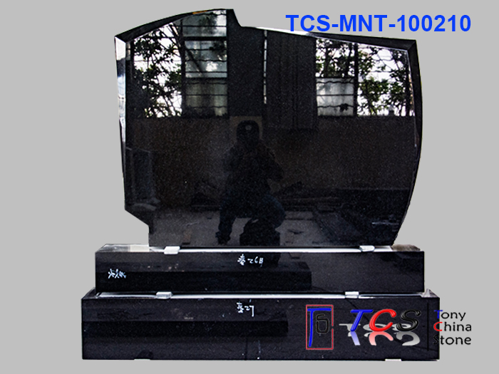 TCS-MNT-10