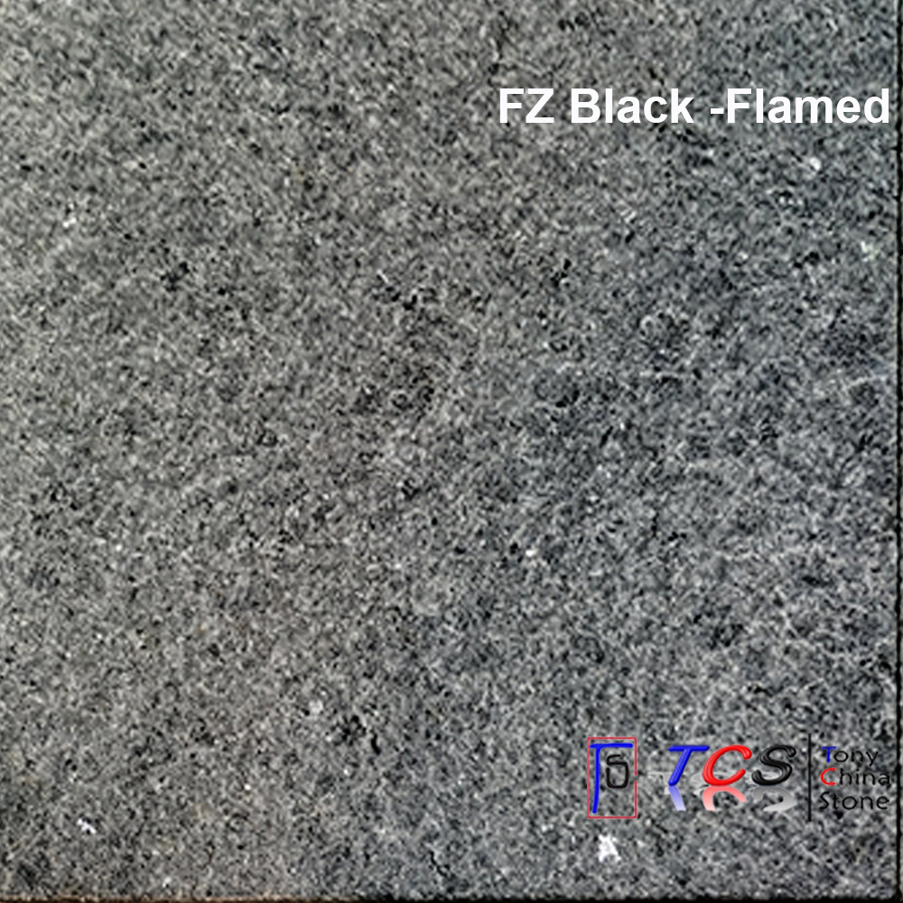 FZ Black