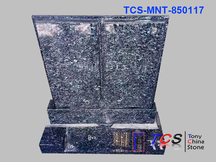 TCS-MNT-85