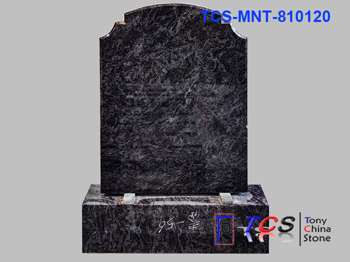 TCS-MNT-81