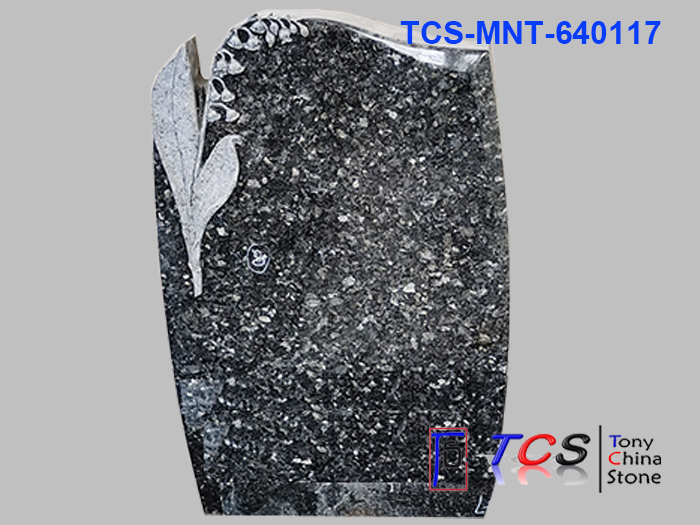 TCS-MNT-64