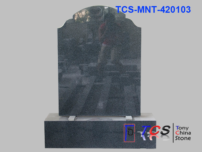 TCS-MNT-42