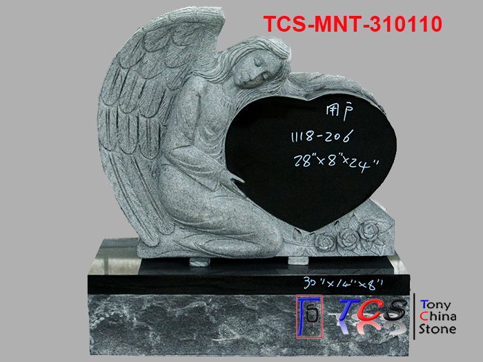 TCS-MNT-31