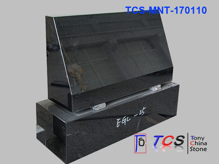 TCS-MNT-17