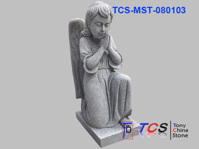 TCS-MST-08