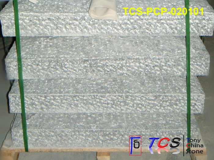 TCS-PCP-02